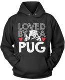 Loved by a Pug