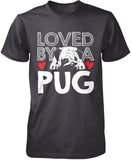 Loved by a Pug